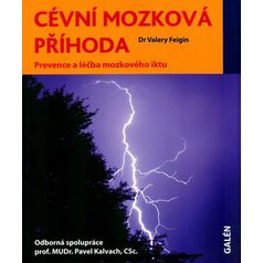 Cévní mozková příhoda