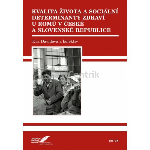 Kvalita života a sociální determinanty zdraví u Romů v České a Slovenské republice.jpg